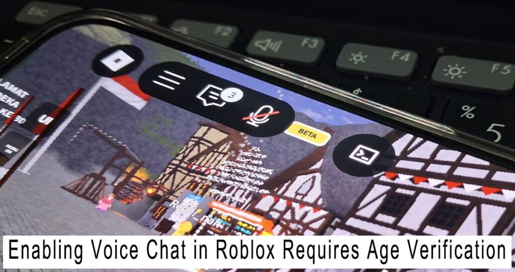Enabling Voice Chat in Roblox Requires Age Verification