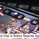 Enabling Voice Chat in Roblox Requires Age Verification
